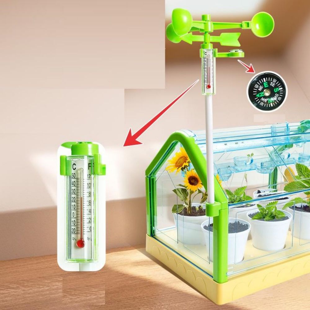 Mini Garden Activity Plant For Kids-Children’s Planting Homework- Experience the Fun.