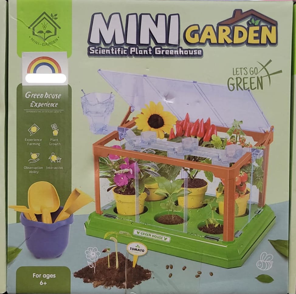 Mini Garden Activity Plant For Kids-Children’s Planting Homework- Experience the Fun.