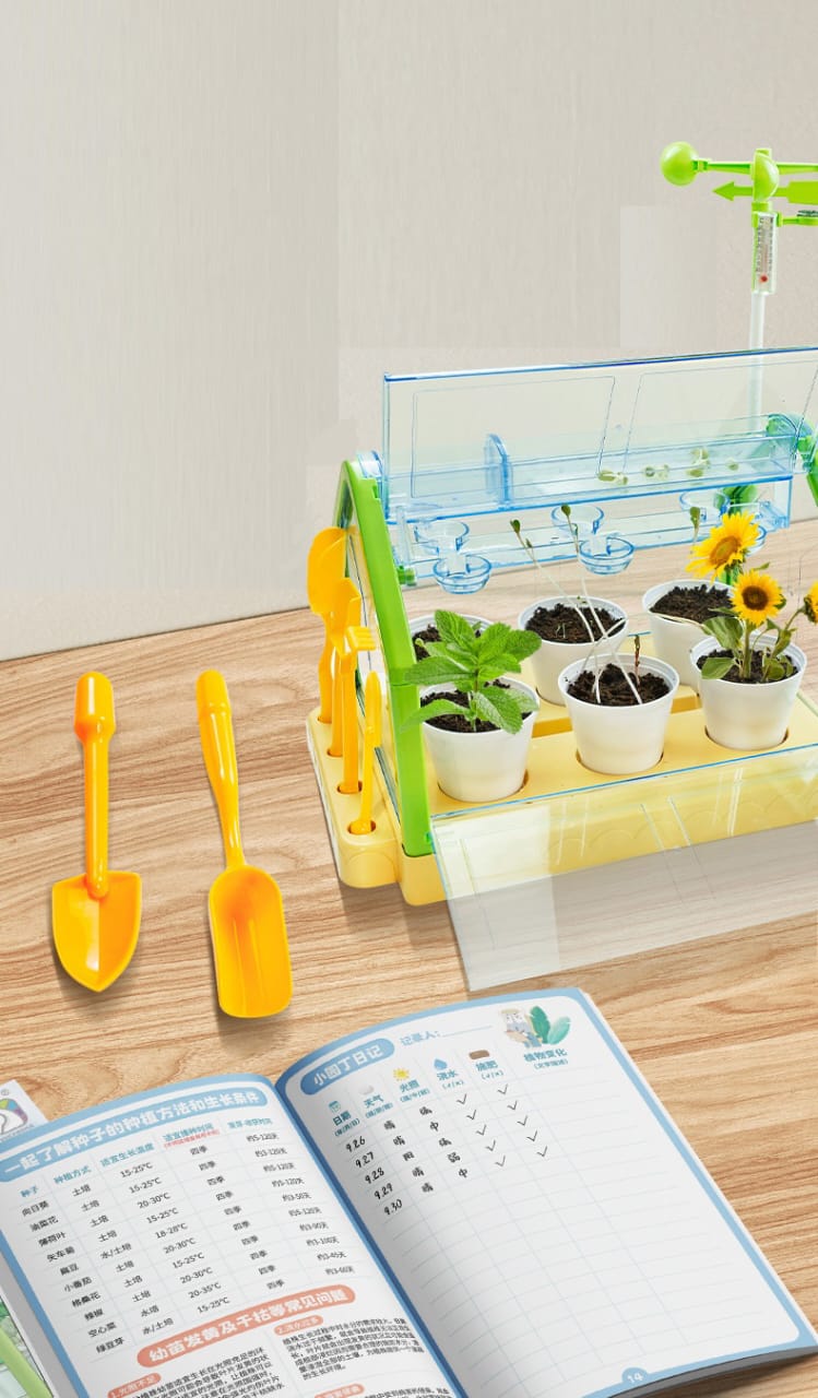 Mini Garden Activity Plant For Kids-Children’s Planting Homework- Experience the Fun.