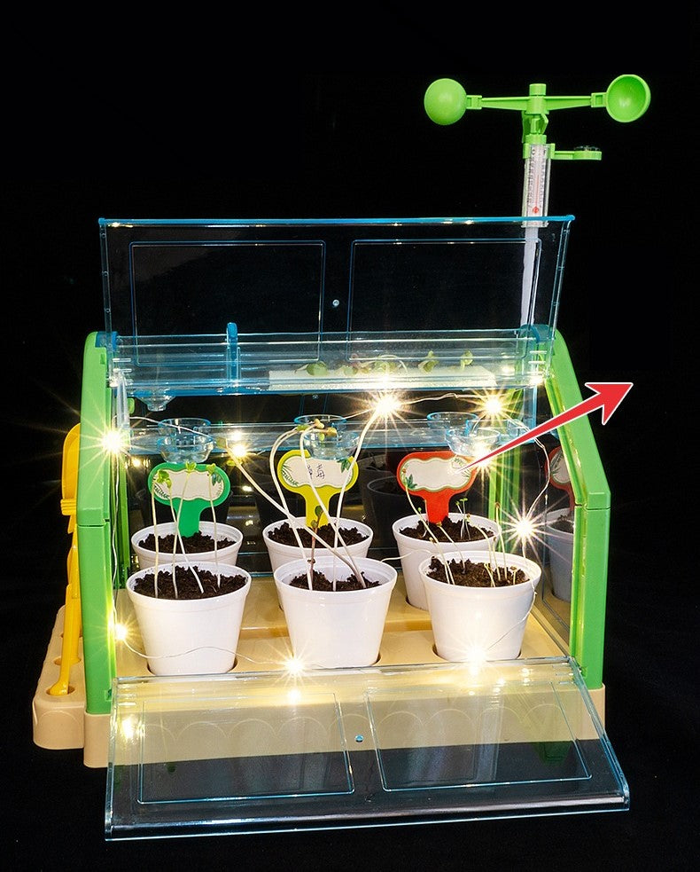 Mini Garden Activity Plant For Kids-Children’s Planting Homework- Experience the Fun.