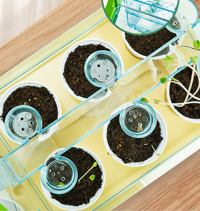 Mini Garden Activity Plant For Kids-Children’s Planting Homework- Experience the Fun.