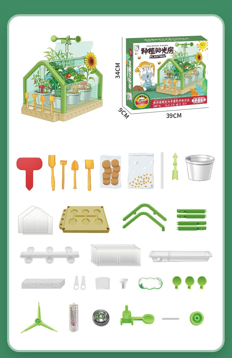Mini Garden Activity Plant For Kids-Children’s Planting Homework- Experience the Fun.