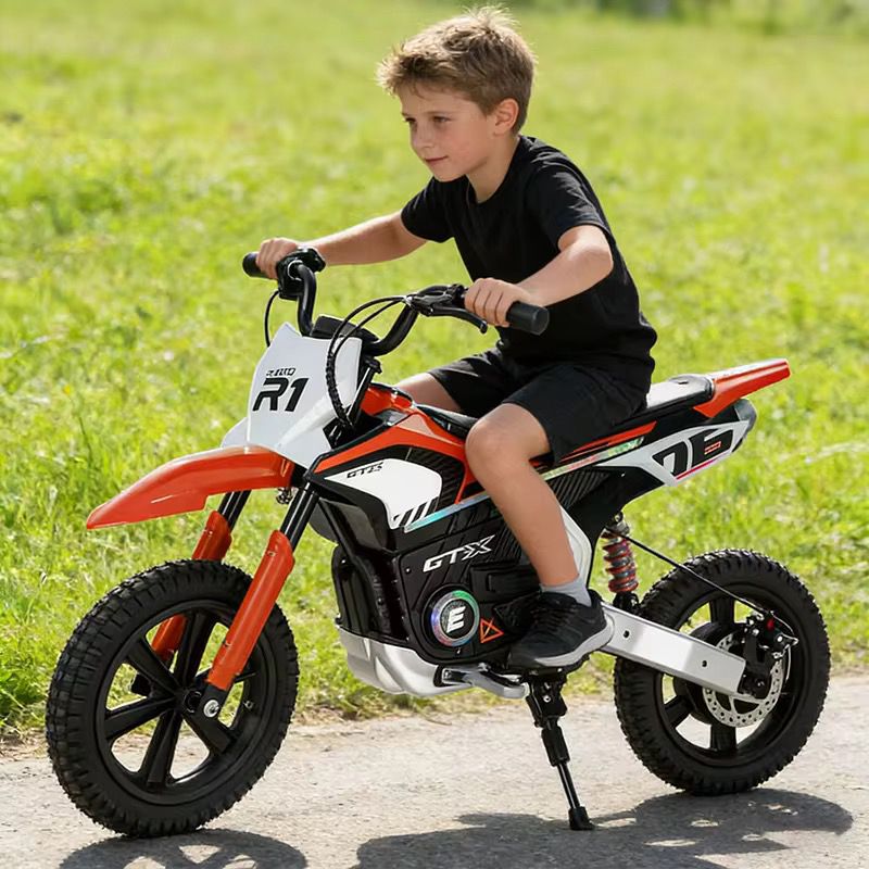 24V Kids Electric Dirt Bike Price in Pakistan | TOYS N RIDES